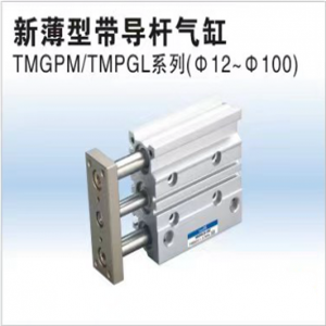 TMGPM TMGPL系列新薄型帶導(dǎo)桿氣缸