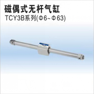 TCY3B系列磁偶式無桿氣缸